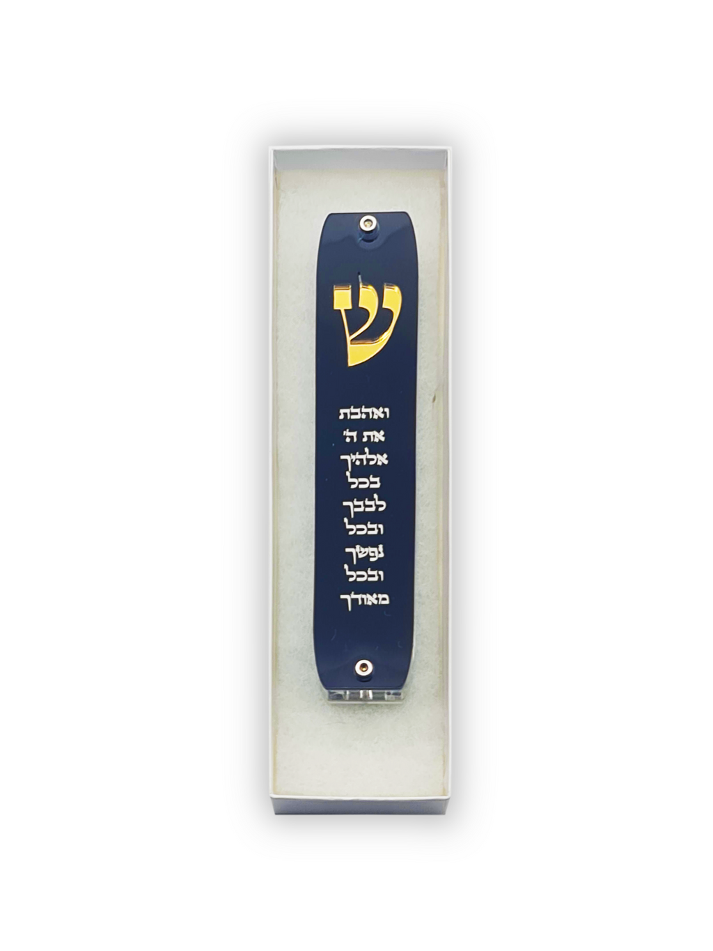Genesis Classic Mezuzah for Door – Handmade Premium Clear Acrylic Case – Model LSN-10061