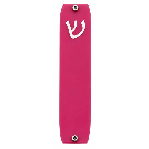 Genesis Small Mezuzah for Door – Handmade Premium Clear Acrylic Case – Model LSN-20048