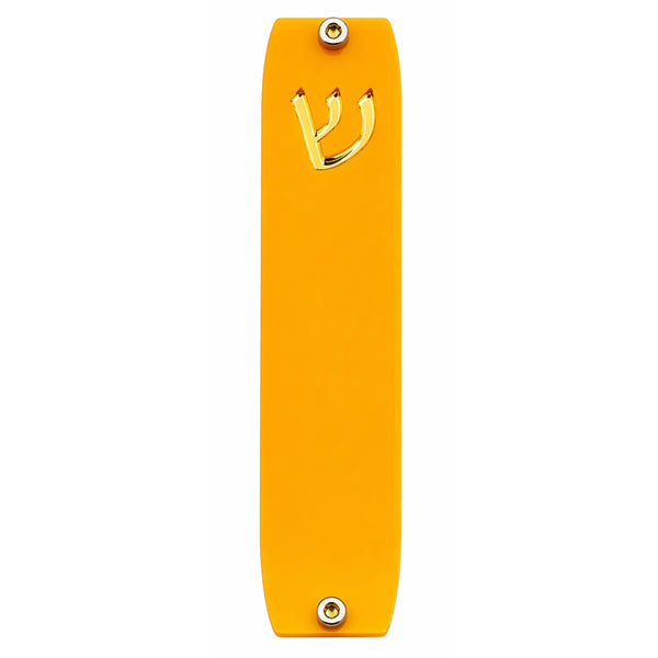 Genesis Small Mezuzah for Door – Handmade Premium Clear Acrylic Case – Model LSN-20052