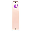 Genesis Small Mezuzah for Door – Handmade Premium Clear Acrylic Case – Model LSN-20062
