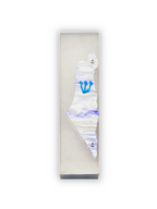 Genesis Map of Israel Mezuzah for Door – Handmade Premium Clear Acrylic Case – Model LSN-30004