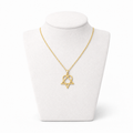 Star of David Heart Necklace – Gold Stainless Steel Jewish Pendant | Unisex Gift LSN-6019