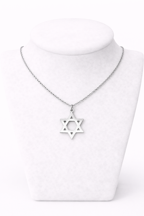 Star of David Necklace 2 x 2 cm – Silver Stainless Steel Jewish Pendant | Unisex Gift LSN-6022