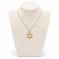Star of David Necklace 2.5 x 2.3 cm – Gold Stainless Steel Jewish Pendant | Unisex Gift LSN-6023