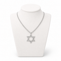 Star of David Necklace 3 x 2.5 cm  – Silver Stainless Steel Jewish Pendant | Unisex Gift LSN-6025